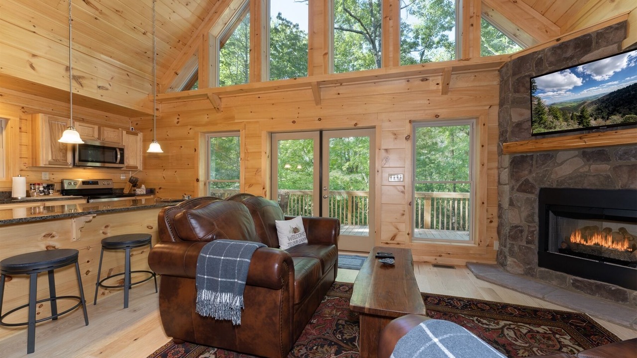 Photo of Livingroom in Cedar Mountain