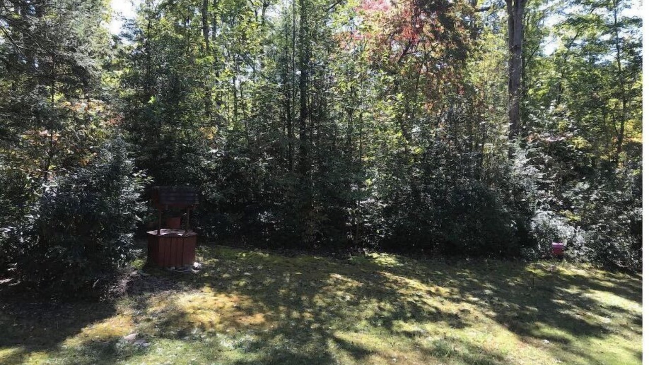 Photo of Outdoor in Old Fort