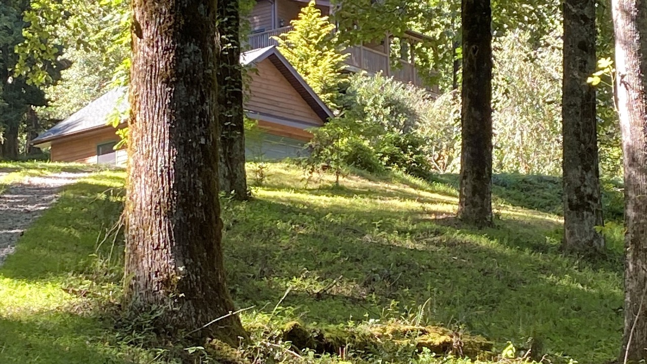 Photo of Outdoor in Brevard