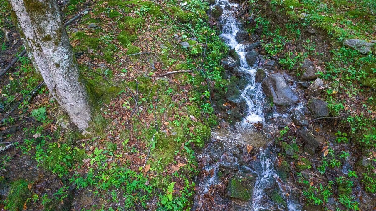 Photo of Outdoor in Whittier