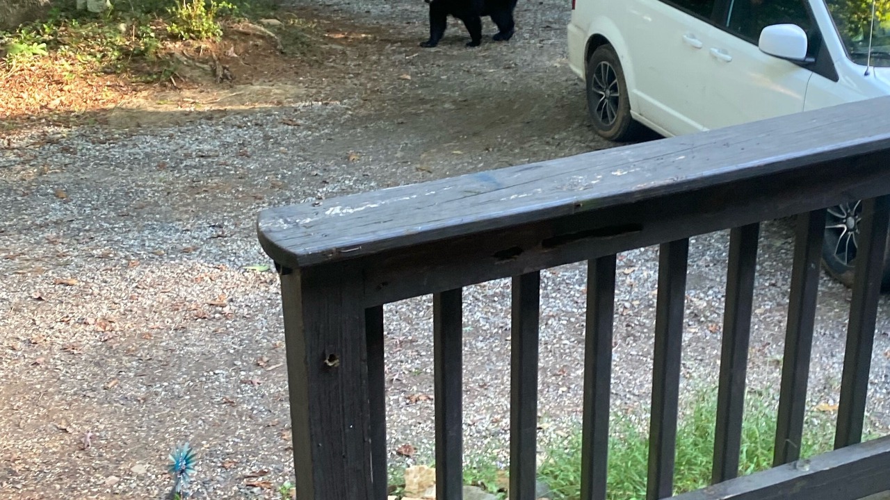 Photo of Outdoor in Lynn