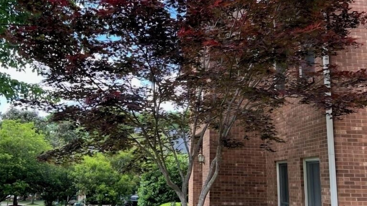 Photo of Outdoor in Gastonia