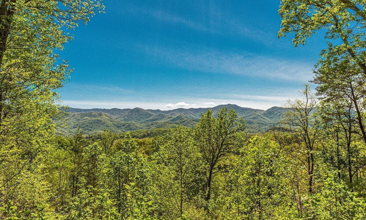 Photo of Others in Qualla