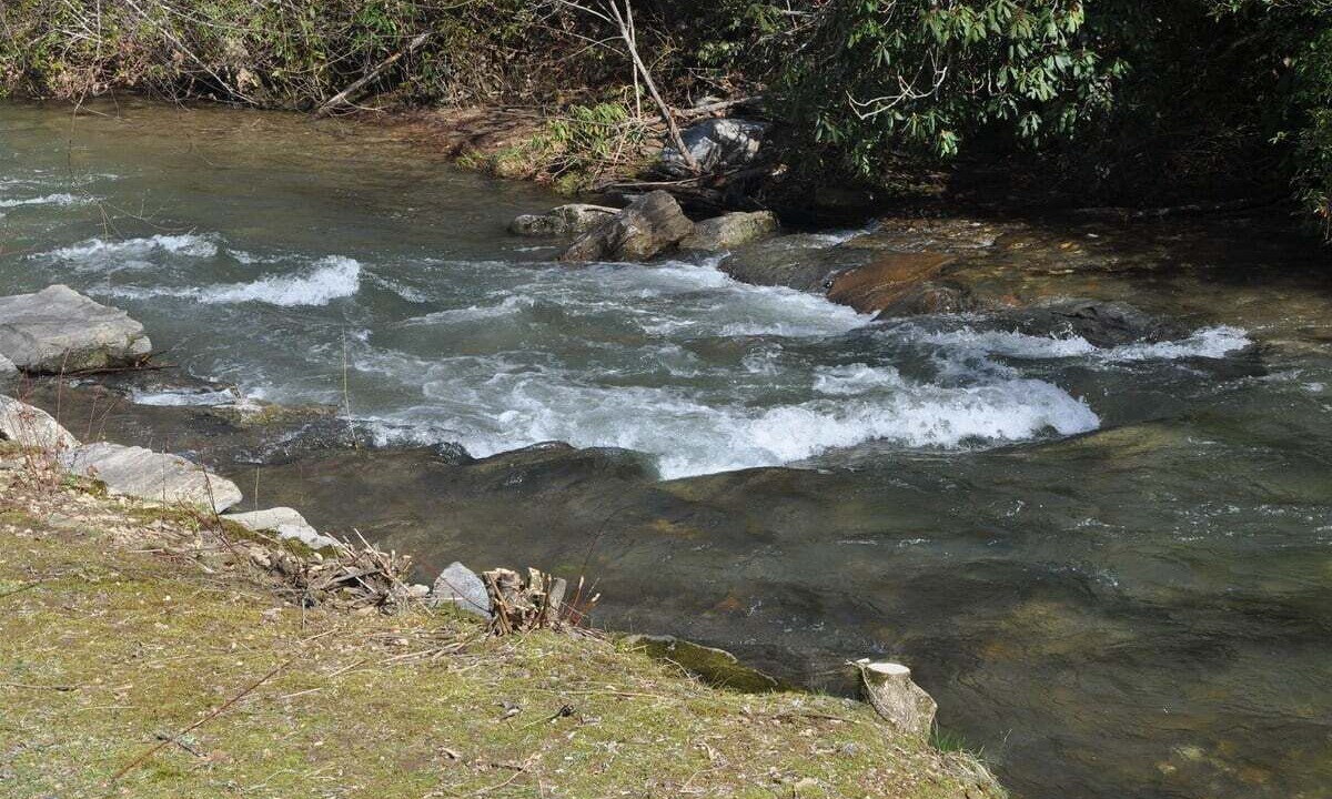 Photo of Others in Bryson City