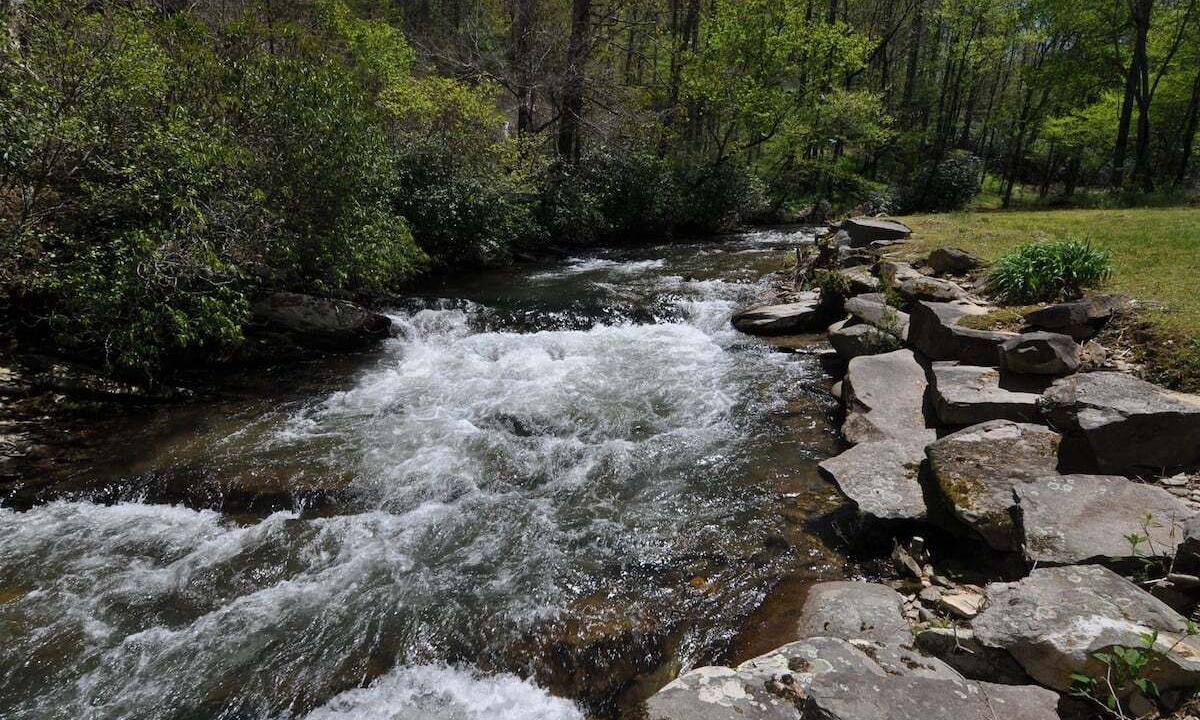 Photo of Others in Bryson City