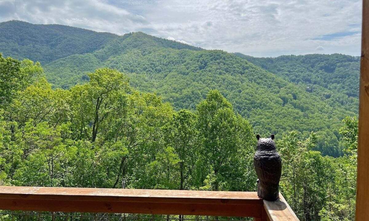 Photo of Outdoor in Bryson City