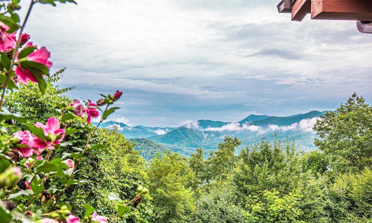 Photo of Others in Sylva