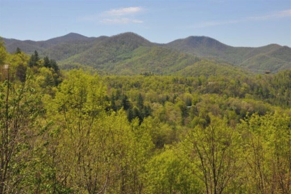 Photo of Others in Sylva
