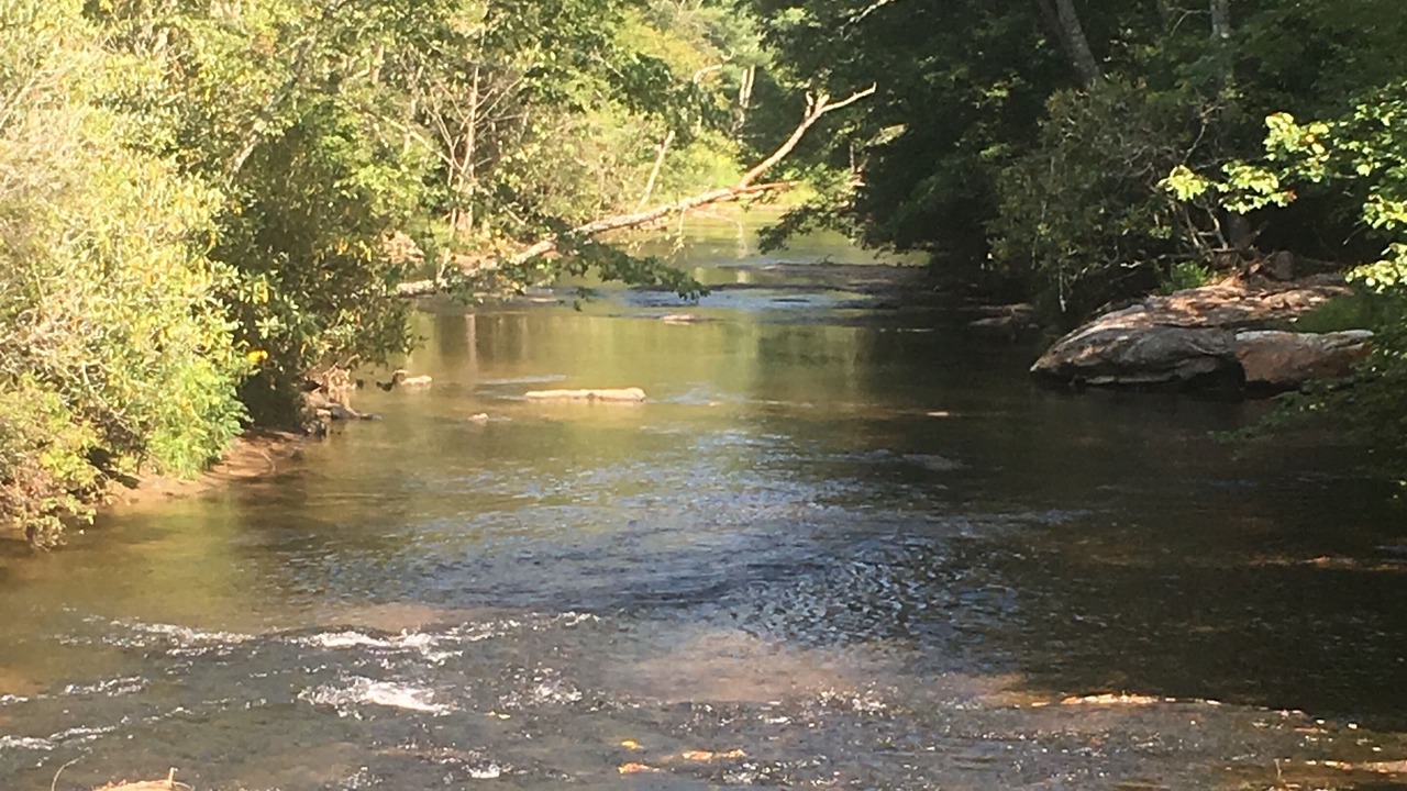Photo of Outdoor in Sparta