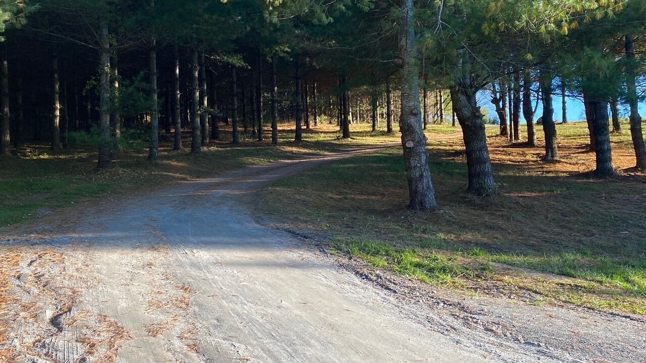 Photo of Outdoor in Sparta