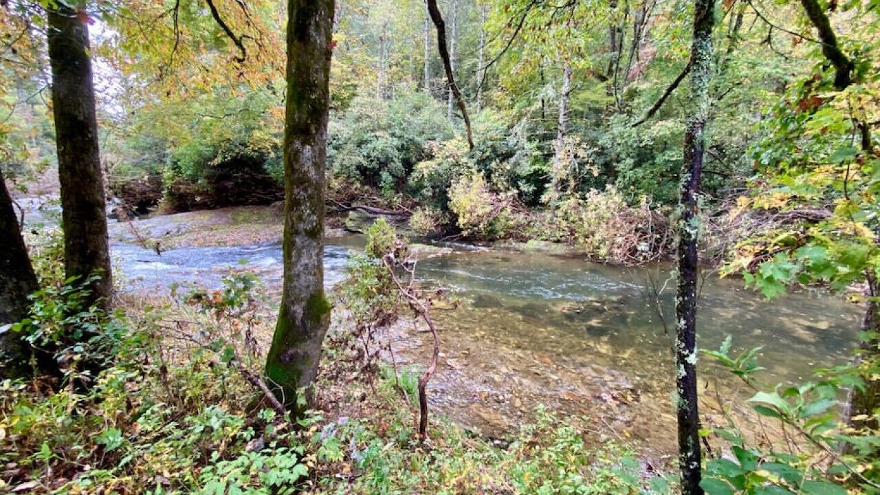 Photo of Others in Asheville