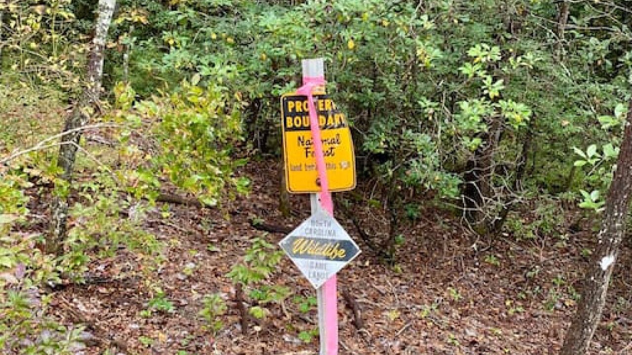 Photo of Others in Asheville