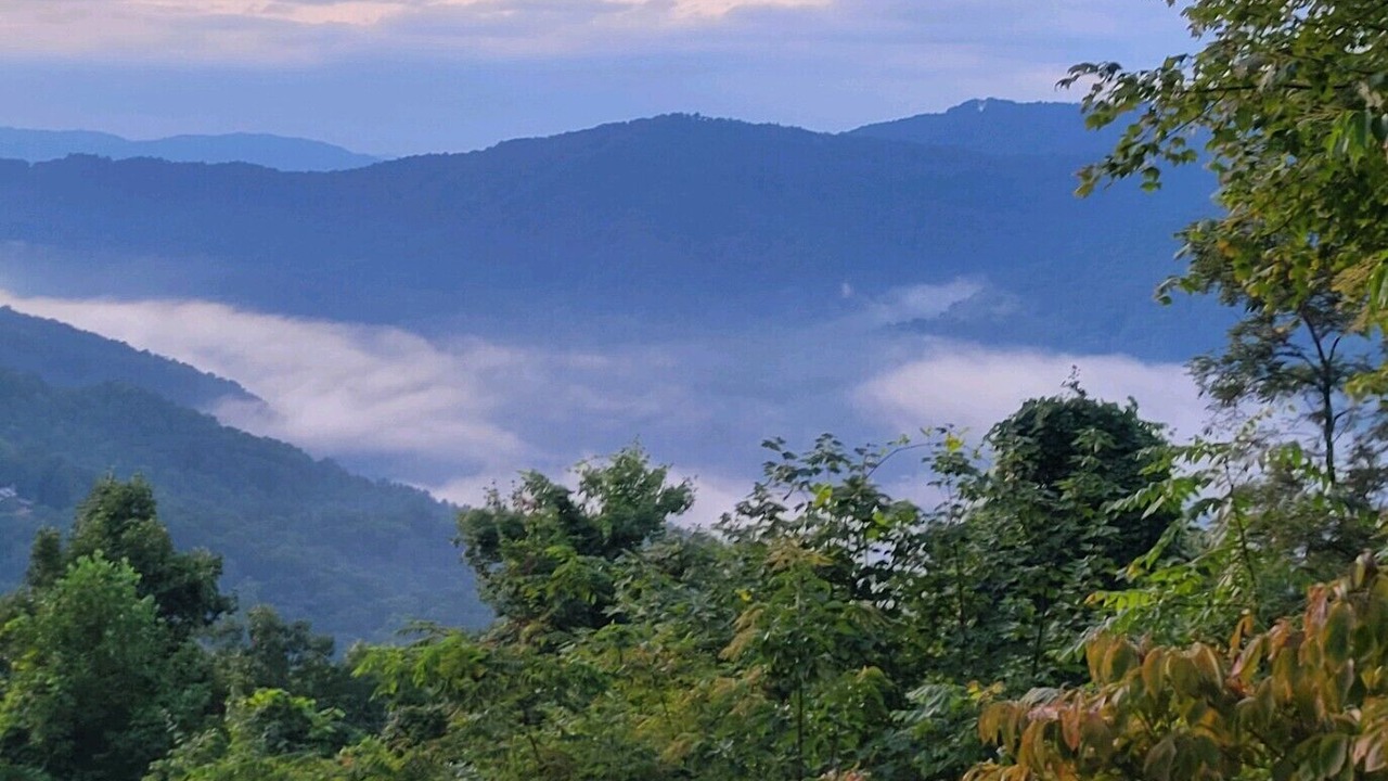 Photo of Others in Maggie Valley