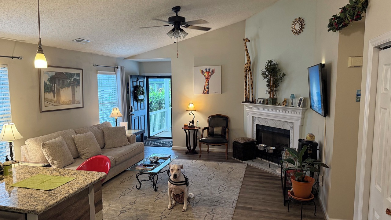 Photo of Livingroom in Apex