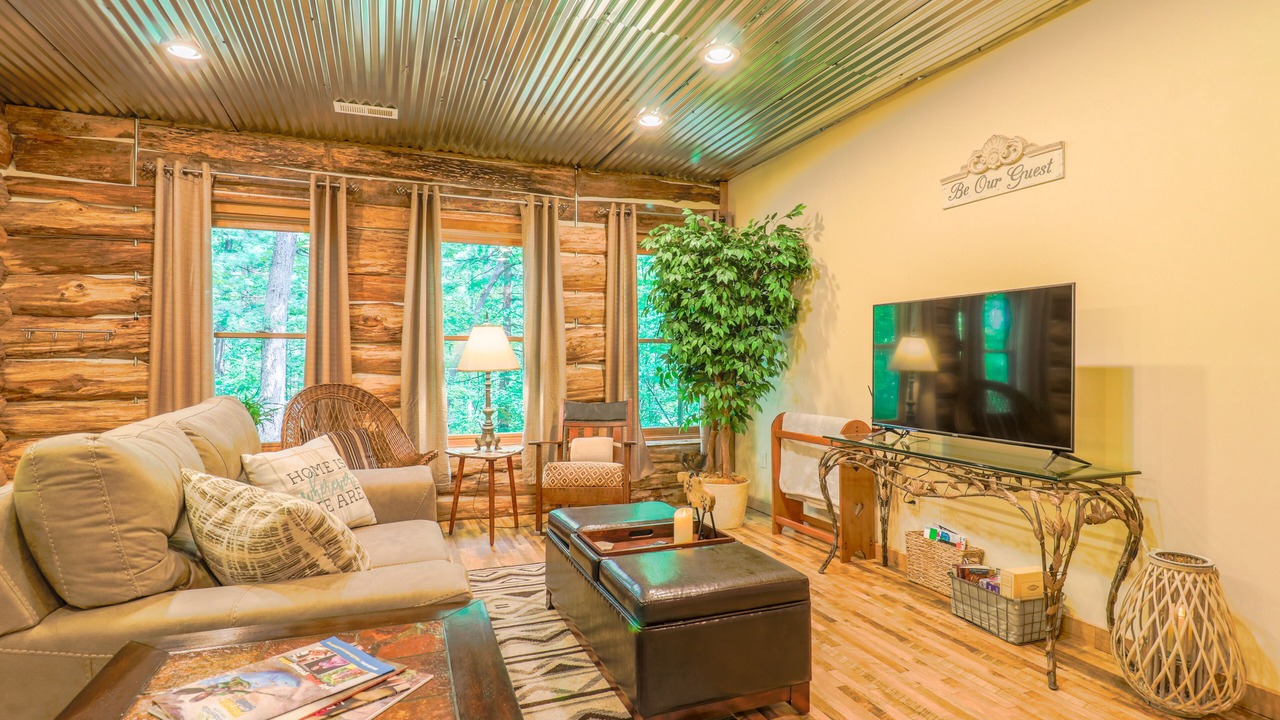 Photo of Livingroom in Flat Rock