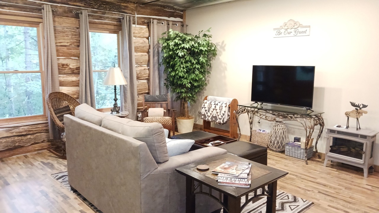 Photo of Livingroom in Flat Rock