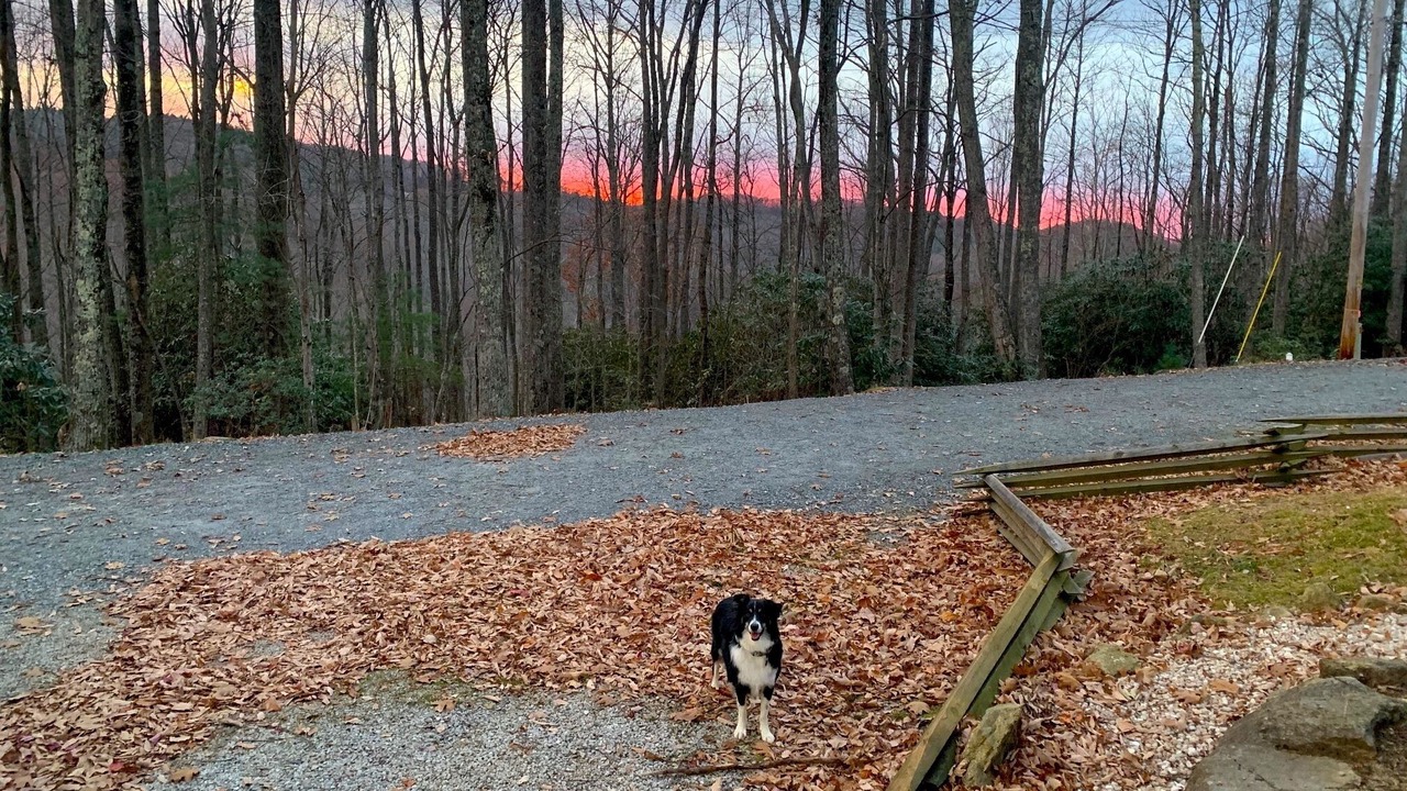 Photo of Outdoor in Beech Mountain