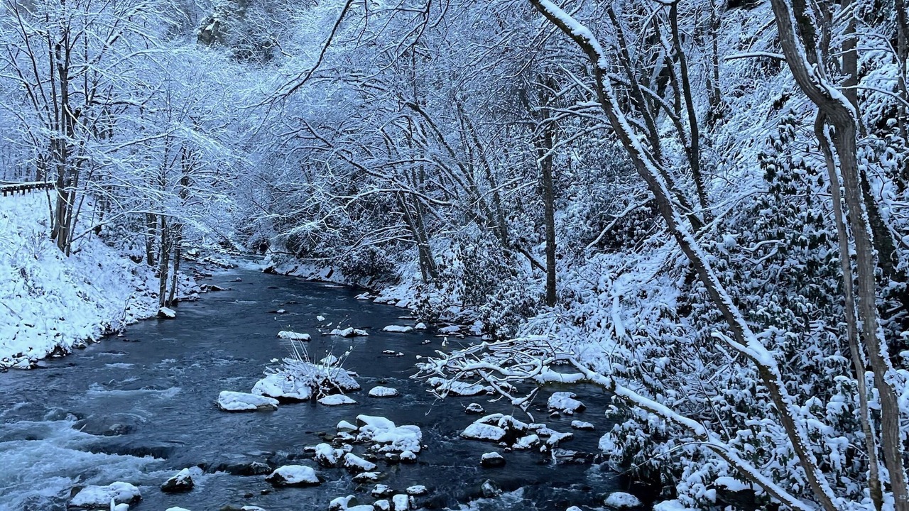 Photo of Outdoor in Kyle
