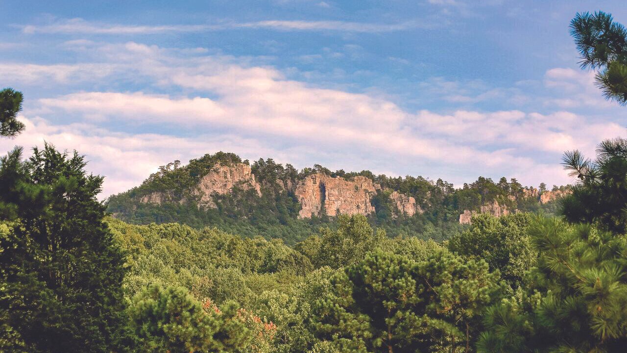 Photo of Others in Kings Mountain