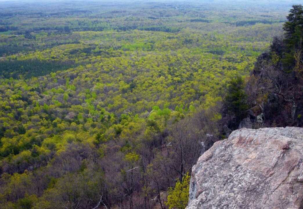 Photo of Others in Kings Mountain