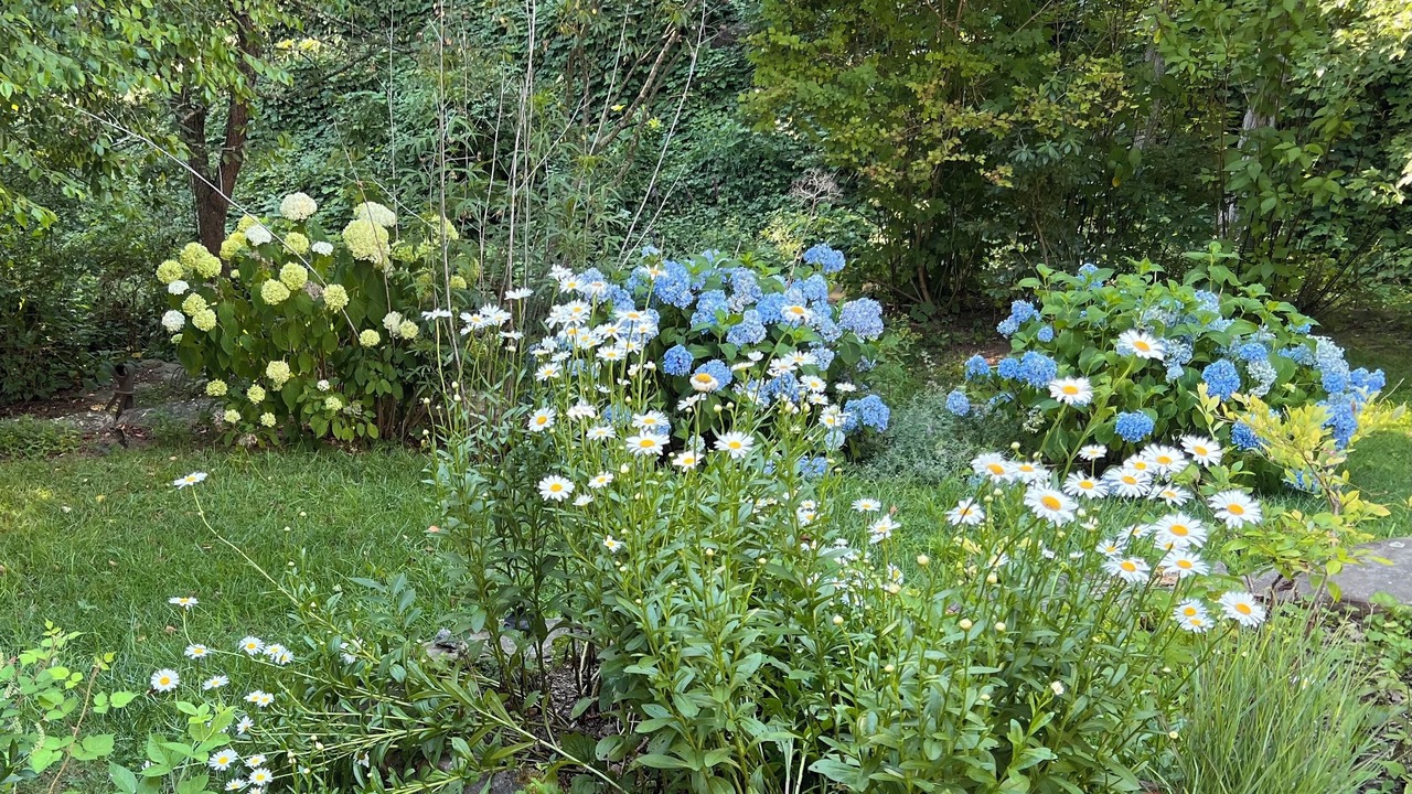 Photo of Outdoor in Huston - Courtland