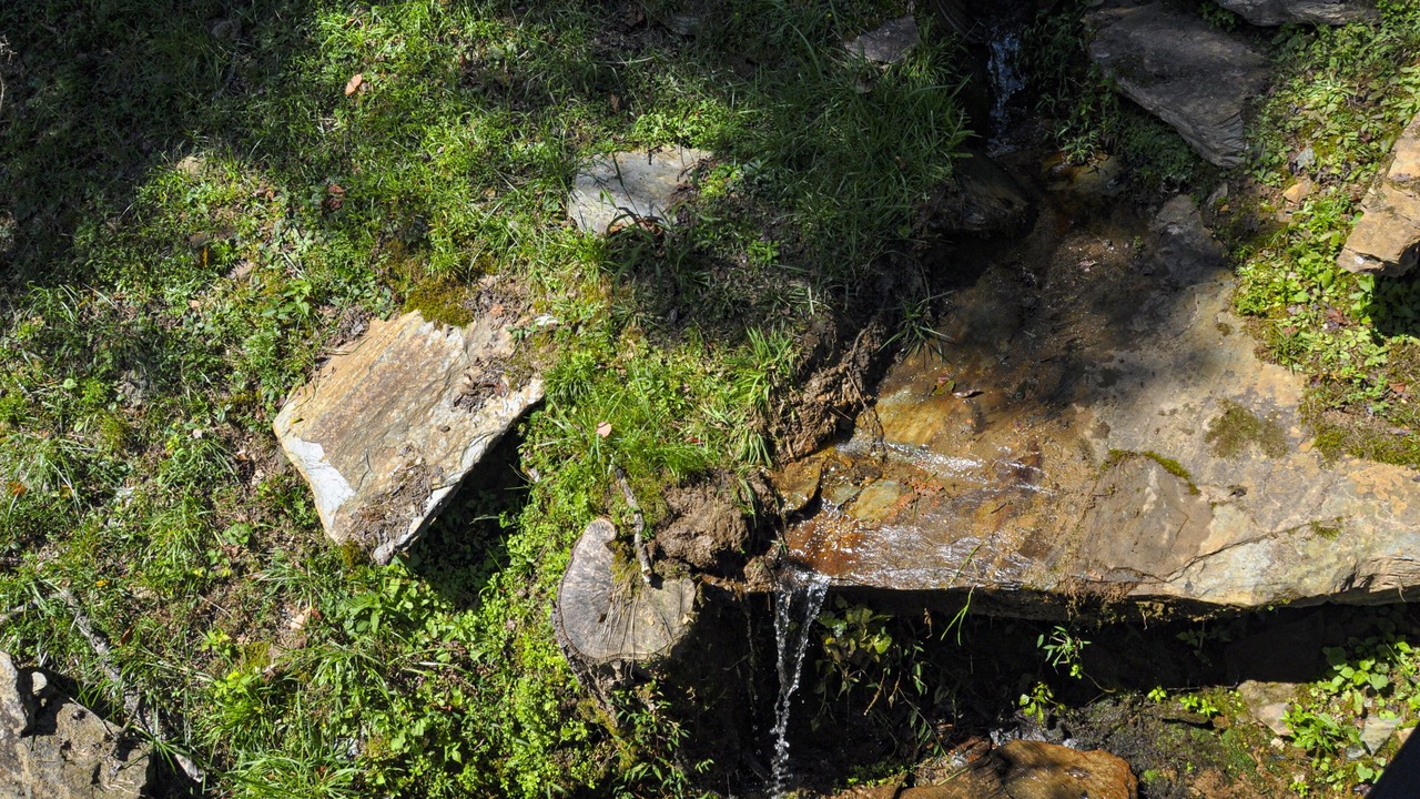 Photo of Outdoor in Murphy