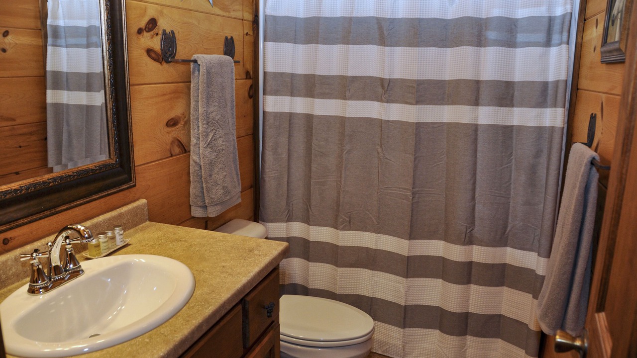 Photo of Bathroom in Murphy
