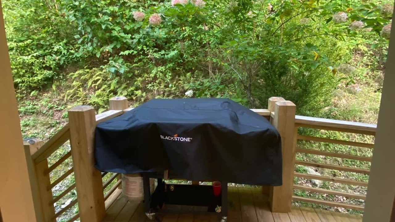 Photo of Outdoor in Newland