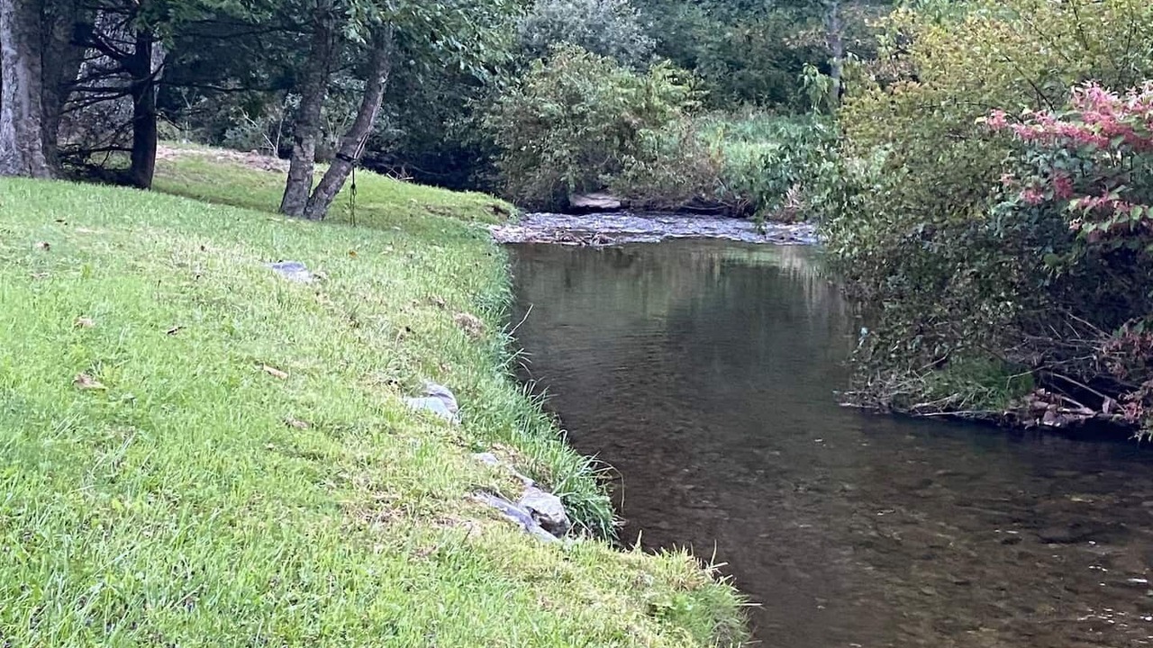 Photo of Outdoor in Newland