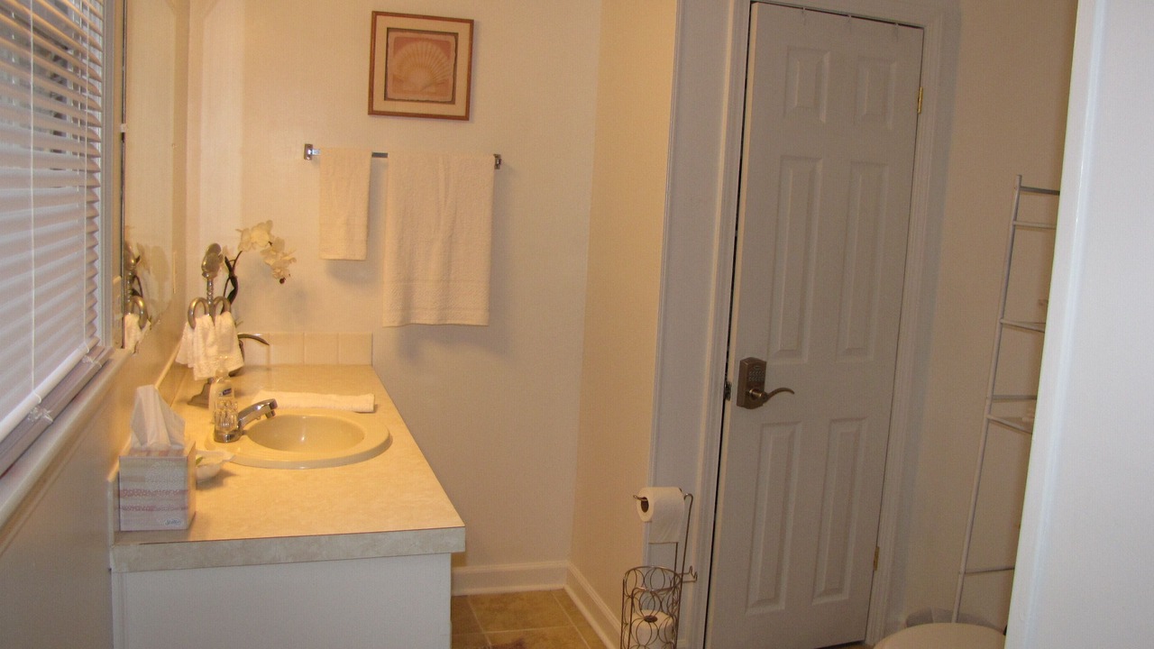 Photo of Bathroom in Whites