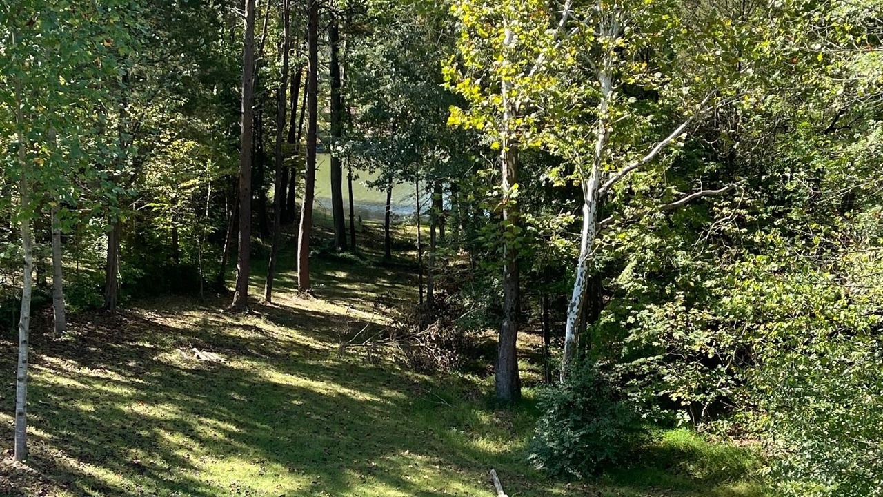 Photo of Others in Semora