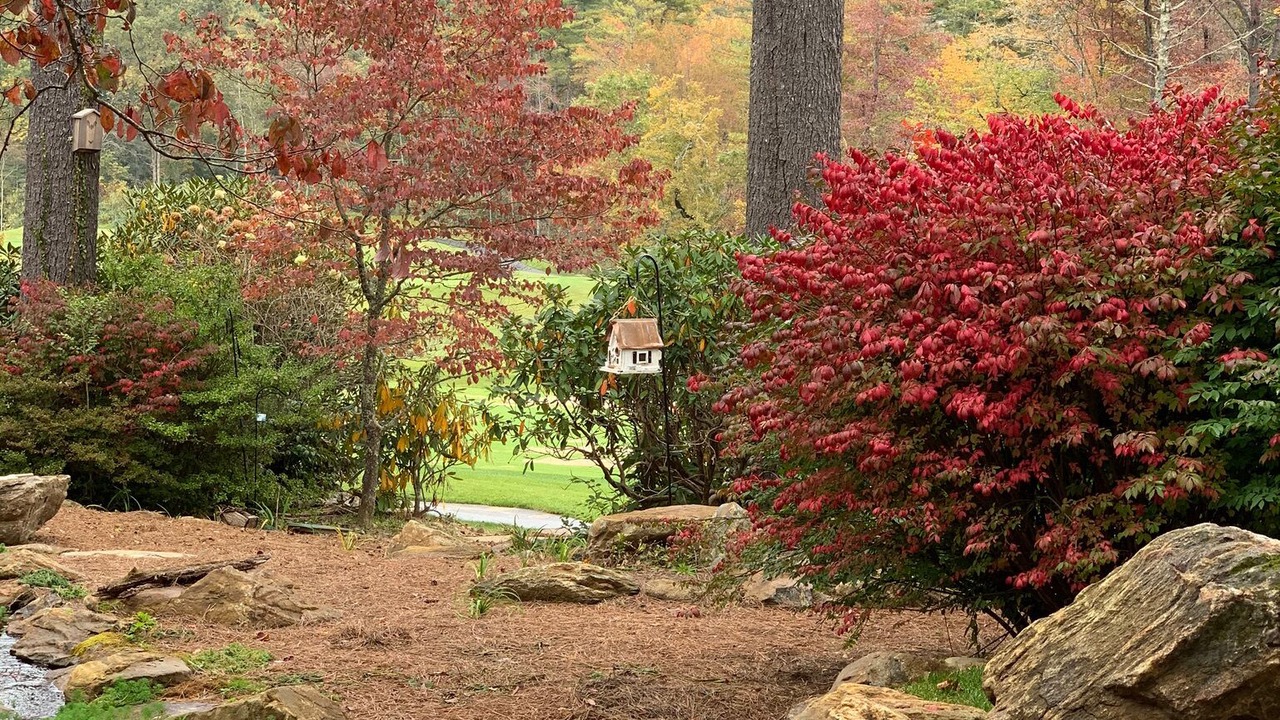 Photo of Outdoor in Cashiers