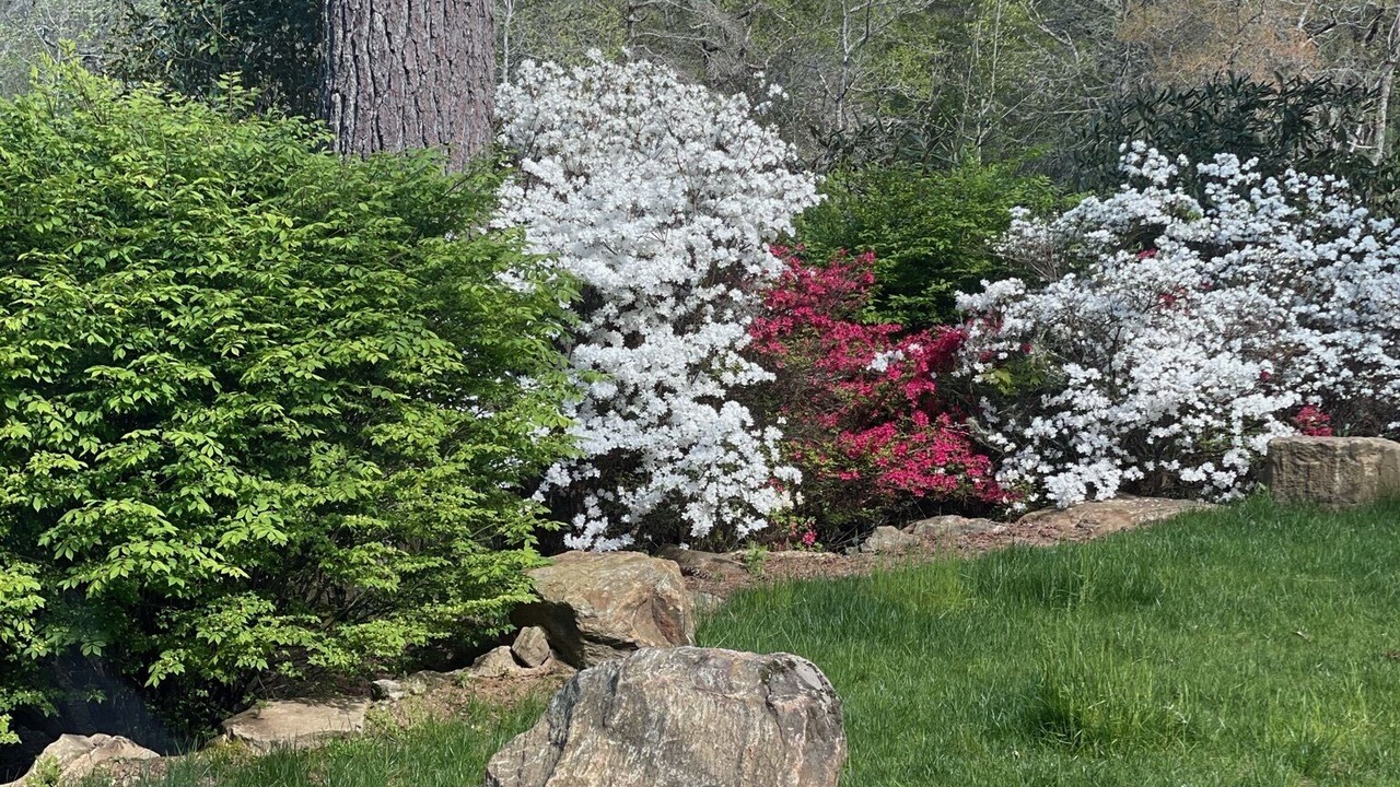 Photo of Outdoor in Cashiers