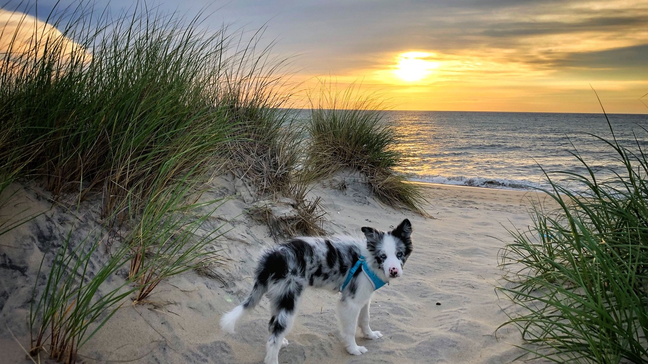 Photo of Others in Rodanthe