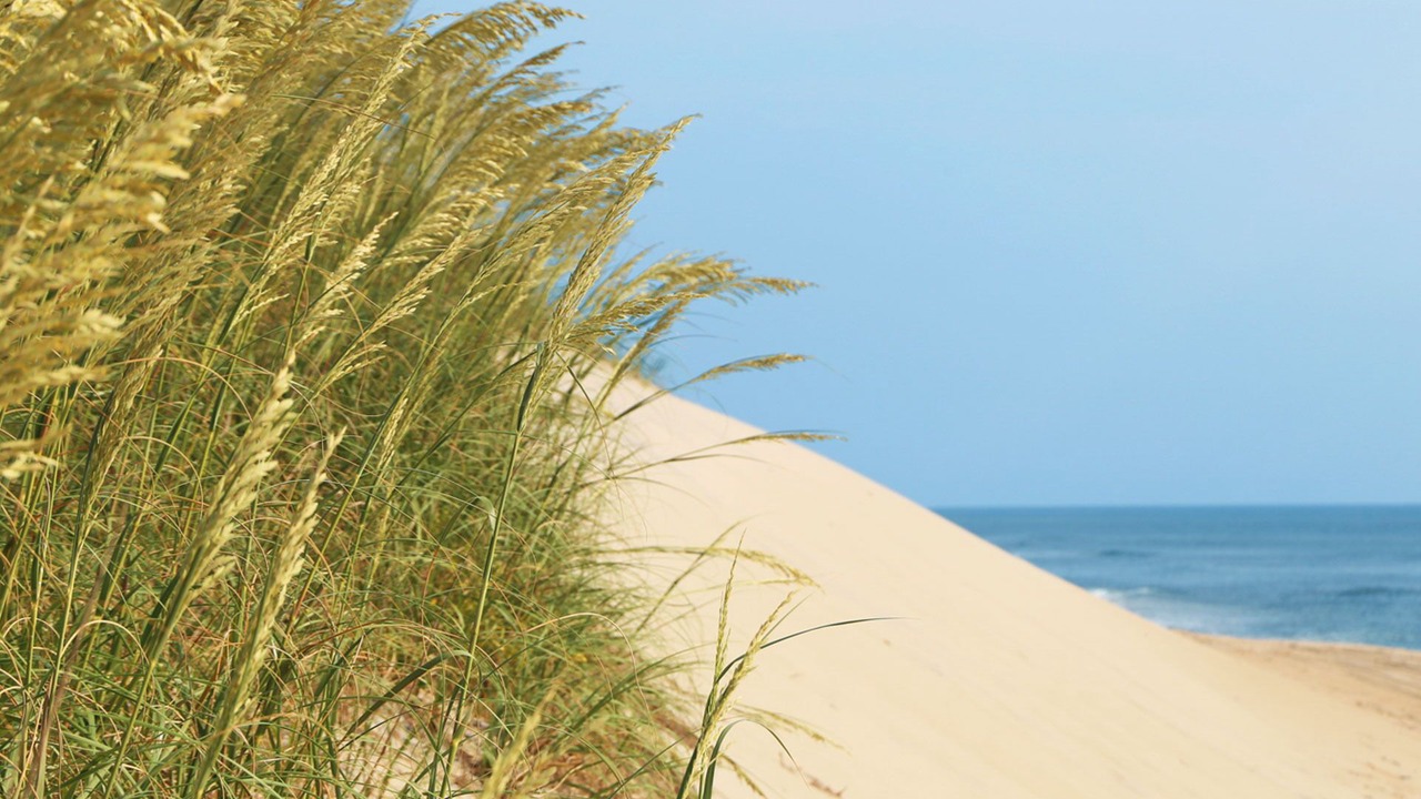 Photo of Others in Hatteras