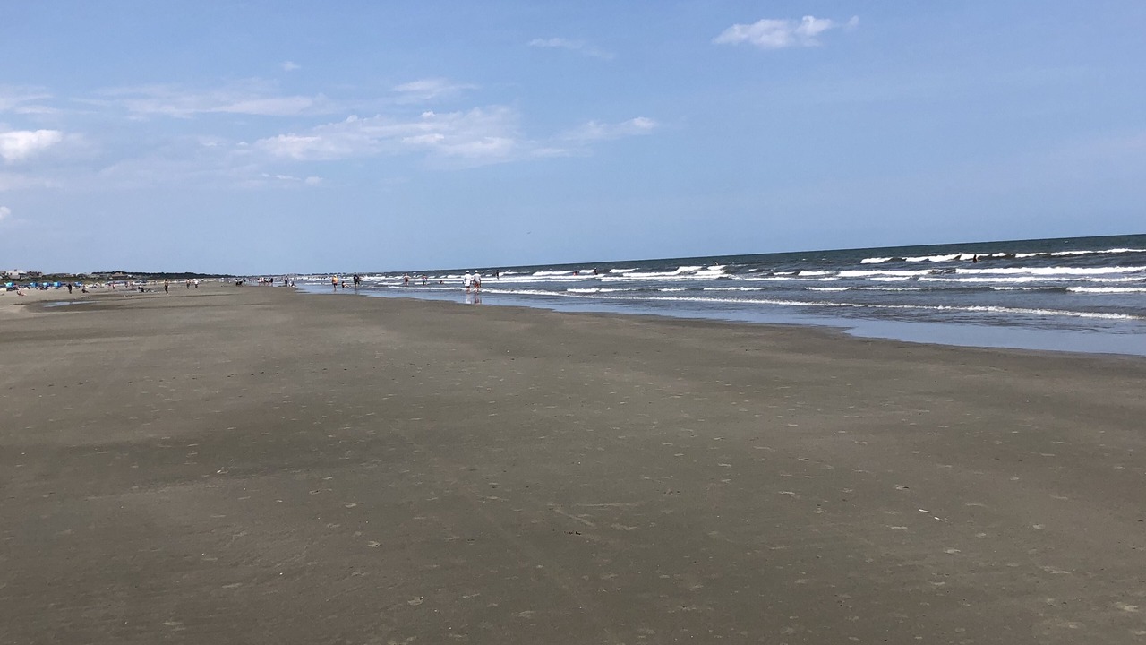 Photo of Others in Sea Trail