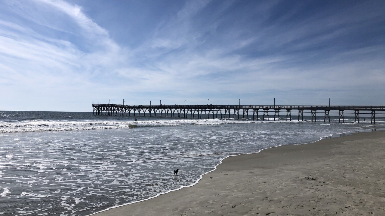 Photo of Others in Sea Trail