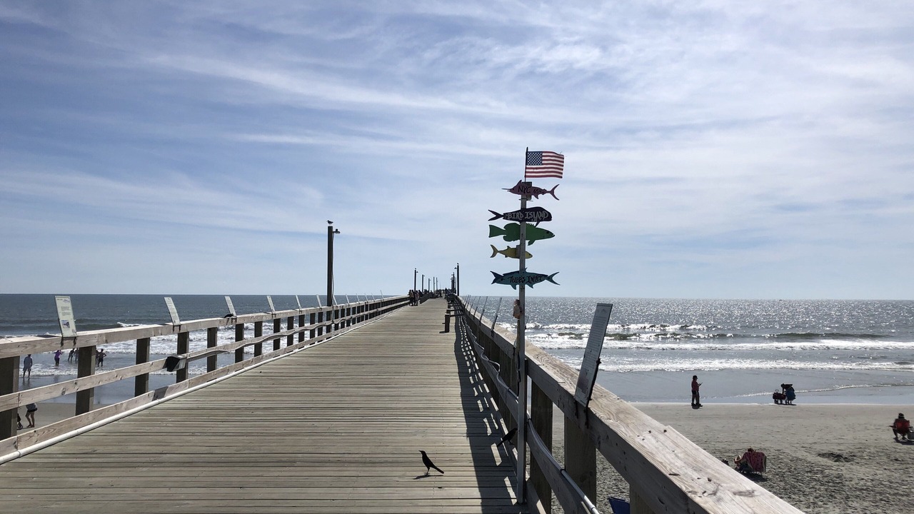 Photo of Others in Sea Trail