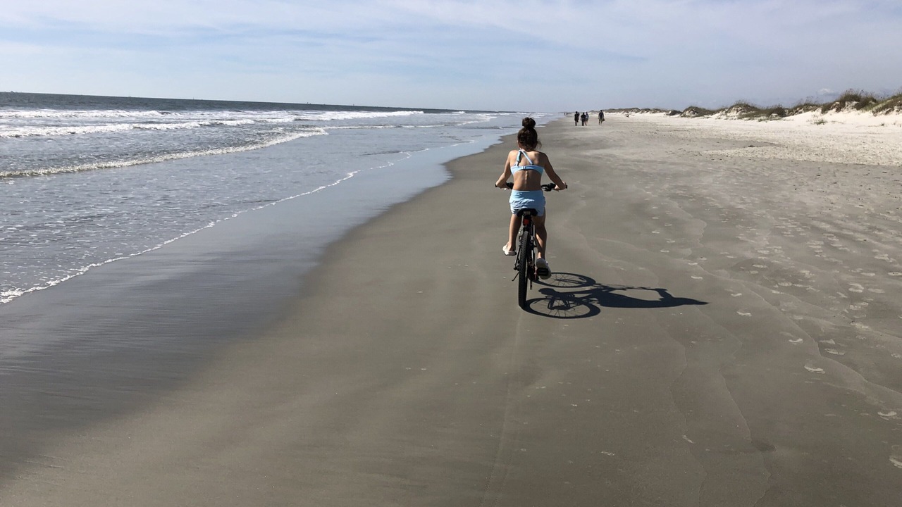Photo of Others in Sea Trail