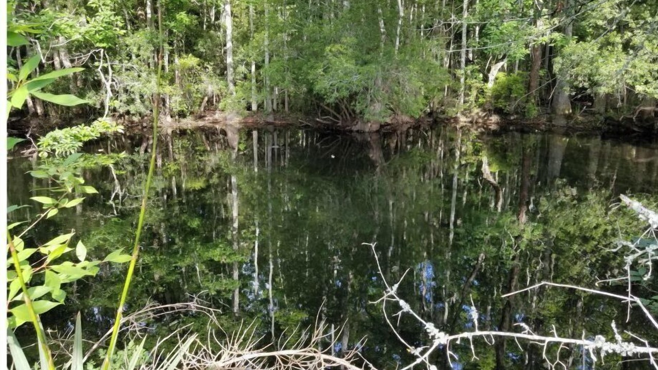 Photo of Others in Lake Waccamaw