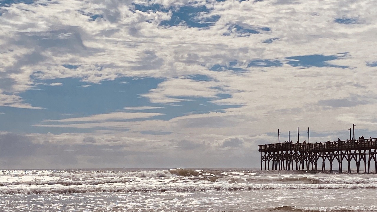 Photo of Others in Sea Trail
