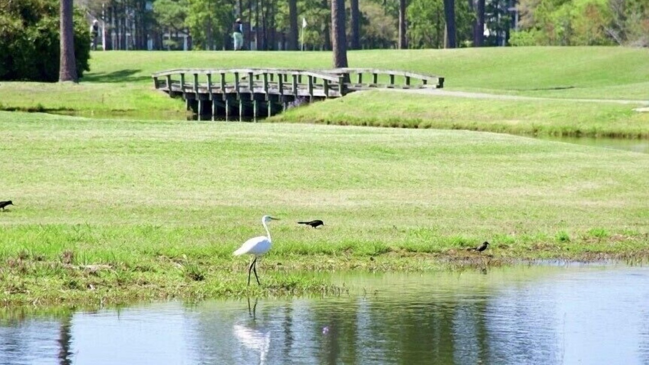 Photo of Others in Sea Trail