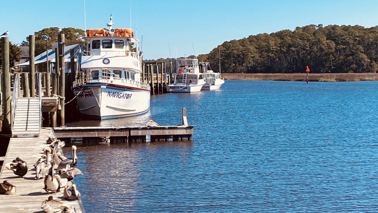 Photo of Others in Sea Trail