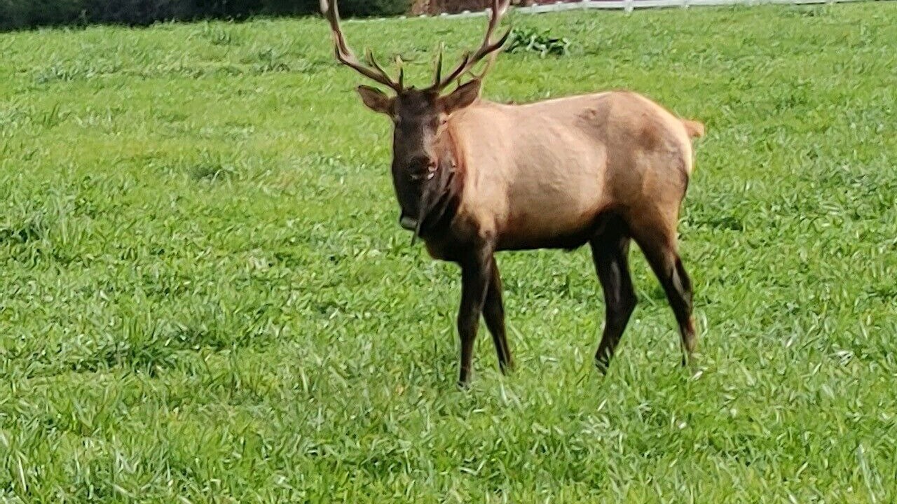 Photo of Others in Maggie Valley