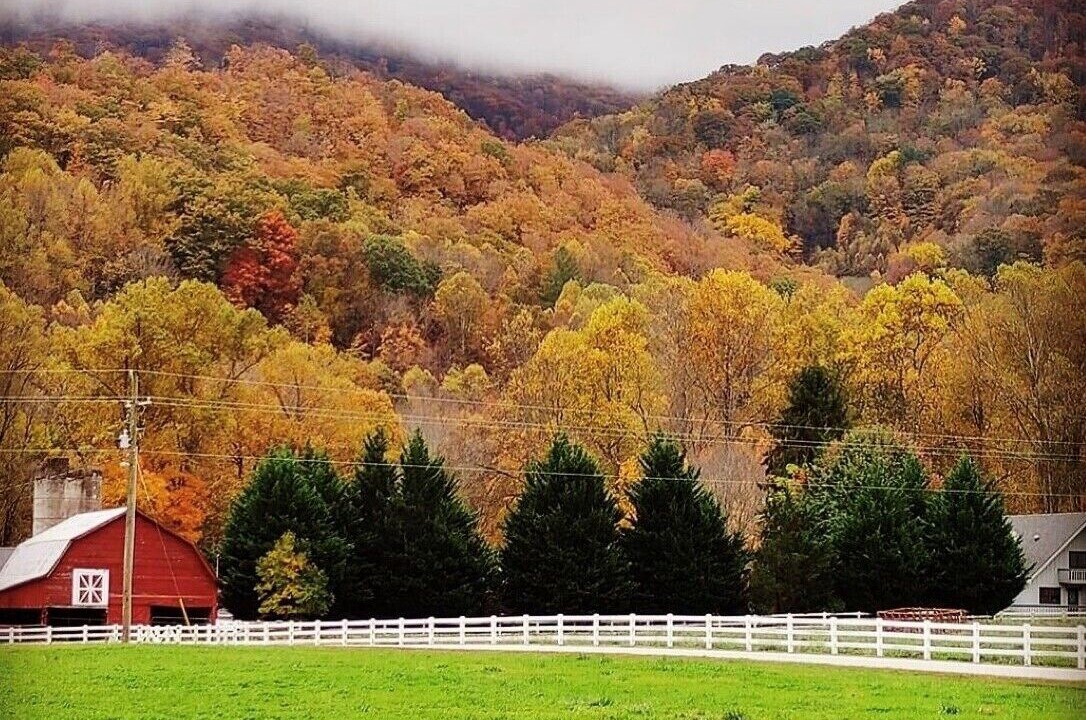 Photo of Others in Maggie Valley