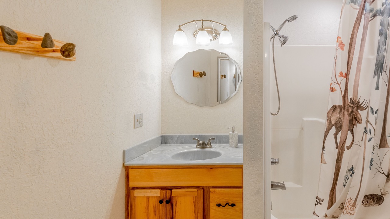 Photo of Bathroom in Sylva