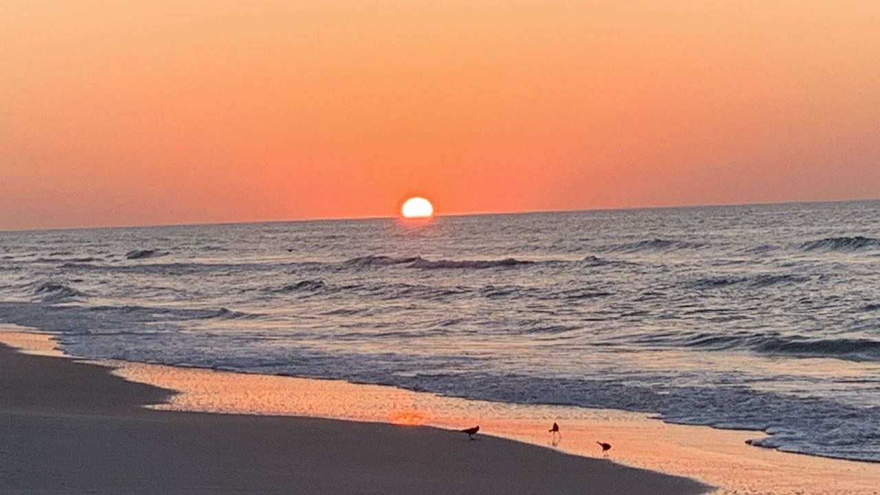 Photo of Others in North Topsail Beach