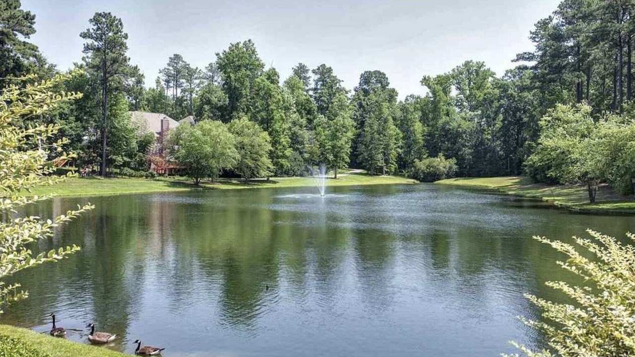 Photo of Others in Cary