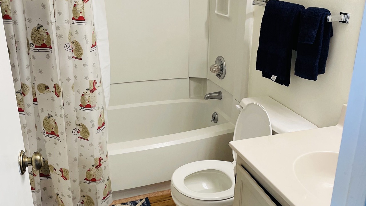 Photo of Bathroom in Sugar Mountain