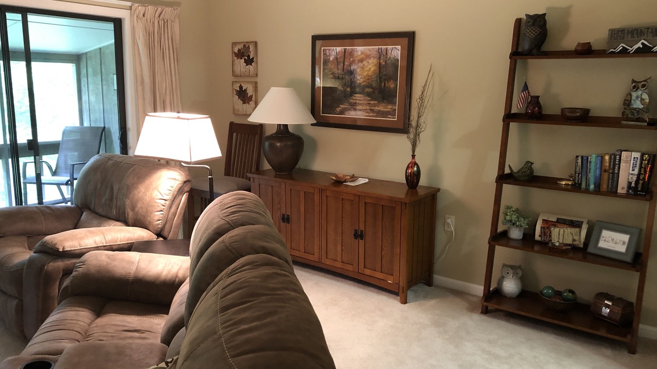 Photo of Livingroom in Pisgah Forest